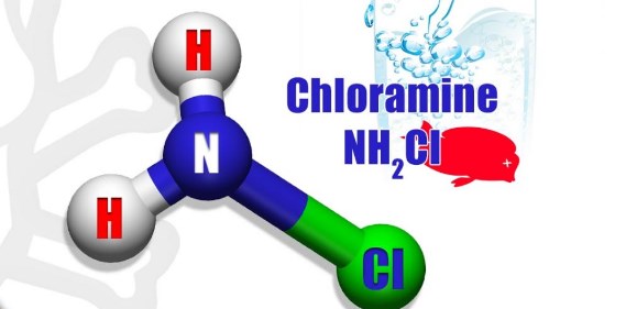 chloramine chemical equation