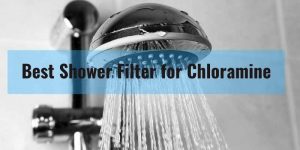 best shower filter for chloramine removal