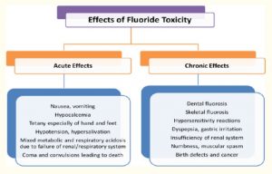 Effects of fluoride toxicity