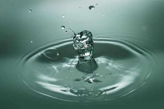 zero water vs distilled water