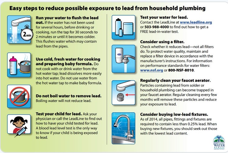 easysteps to reduce lead inforgraphic 